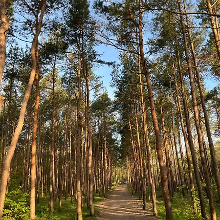 Apartament Przy Plazy