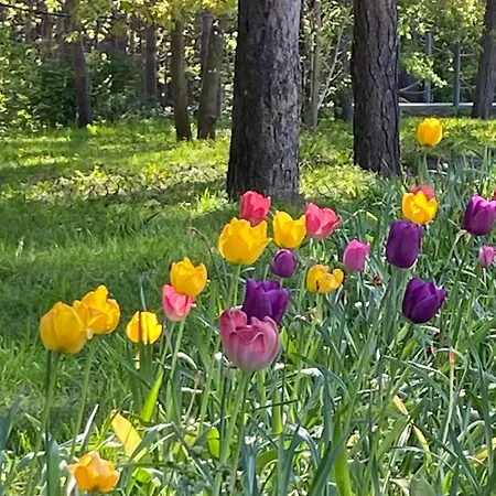 Apartament Przy Plazy *